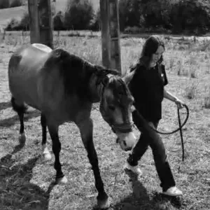 Pet-Sitter a epinay/taverny....