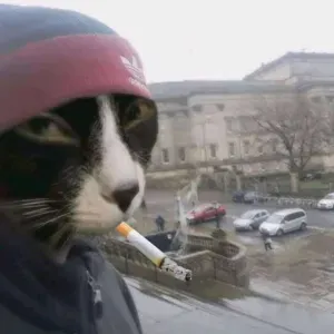 Pet Sitter dynamique disponible - IDF & Paris