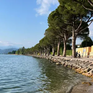 Pet-sitter à Montpellier et environs