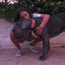Pet sitting em Lisboa e arredores