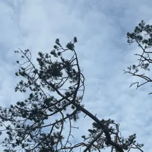 Estrjaoenjeownoqjdkkkanneoqkneo