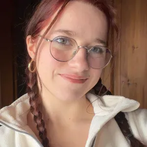 Tutorat en anglais tout niveau et autres matières.