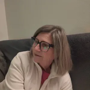 Repassage linge Troyes et alentours