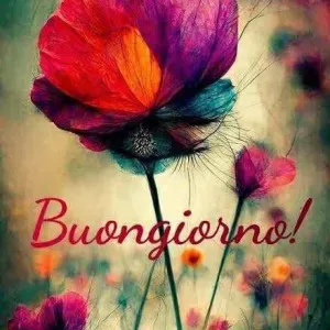 Aide de confiance pour vos proches, bienveillante & patiente