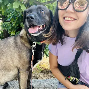 Pesquise um(a) cuidador de cão 