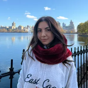 Cerco servizio di pulizia occasionale a sirmione