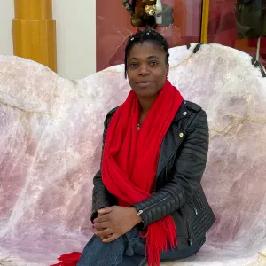 Je suis à la recherche d'un emploi en tant que aide ménagère