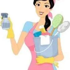 Femme de ménage responsable à Orleans 