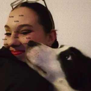 PET-SITTER NÎMES DISPONIBLE A TOUE VOS DÉMANDES