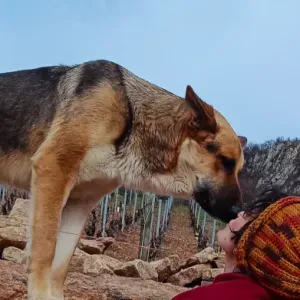 Amour, soins et fun ! Balades, garde et visites à domicile