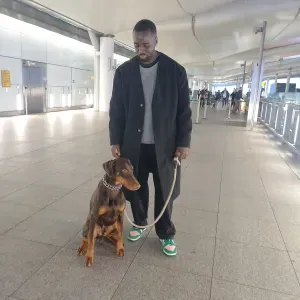 Apartment Cleaning & Dog Walking Help Wanted – Twice a Week