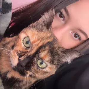 Pet sitter, ex auxiliaire vétérinaire dans le 95
