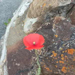 Aide à domicile des seniors et junior à Marseille 