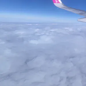 Collaboratrice domestica/ pett Sitter / compagnia 