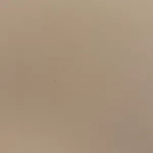 Assistante Maternelle