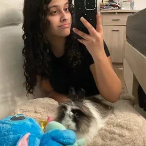 Pet-Sitter à Elancourt et Plaisir 