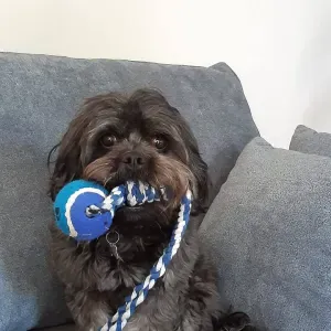 Offre d'emploi pour un(e) femme de ménage àLangueux