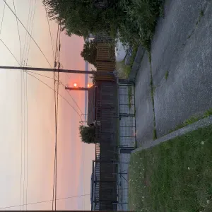 Pet-sitter à Paris, val de marne