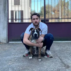 Petsitter arrivant de Paris sur Pamiers !