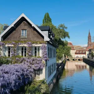 Babysitter não profissional em tempos vagos