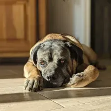 Une passionnée d'animaux