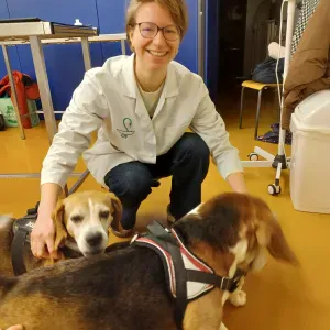 Etudiante vétérinaire, animal-sitter avec expérience