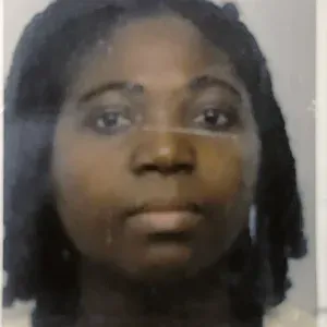 Baby- sitting dans l'île de France 