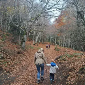 Cherche aide maternelle pour garcon de 4 ans