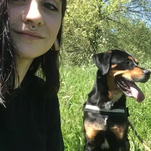 Pet-sitter : Garde, visite et promenades 