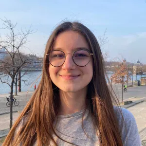 Baby-sitter 21 ans (responsable scout)