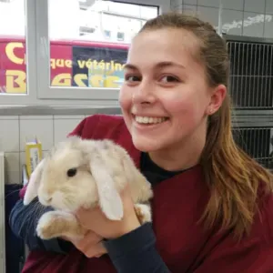 Pet-sitter à Beloeil : chiens, chats, NAC