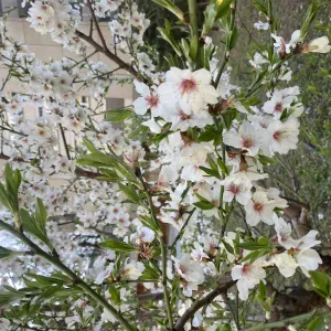 Femme Menage experience disponible