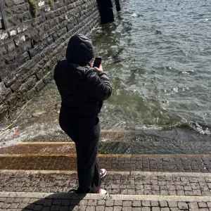 Addetta alle pulizie, Busto Arsizio