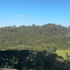 Aide ménagère , aide à la personne 