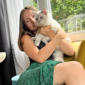 Le cocon des chats près de chez vous!