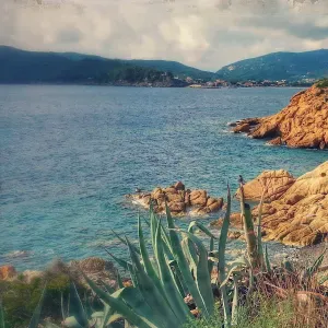 Cerco persona per pulizie a Marina di campo