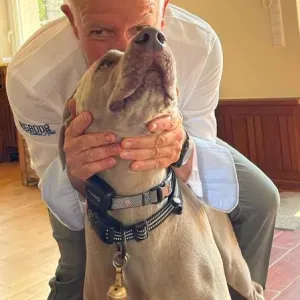 Cours de soutien Allemand