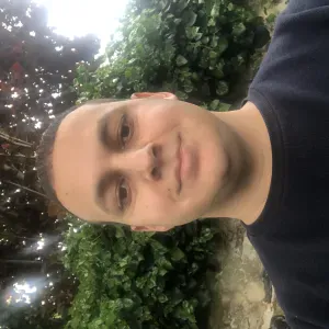 Prof d'anglais particulier a domicile/ en ligne  