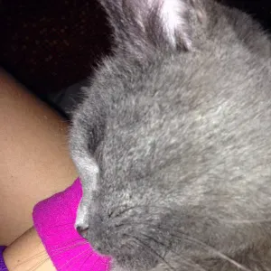 Cerco pulizie vicino a me