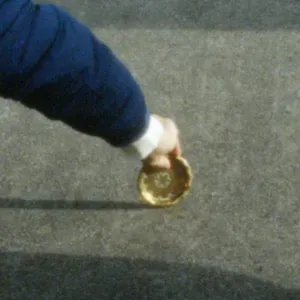 Emprego de petsitter em Tondela