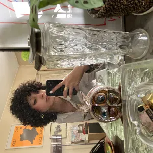 Services pet sitter à taverny 