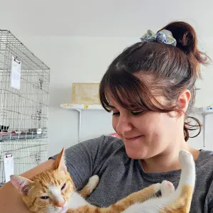 Pet Care em Gondomar, Paredes, Porto