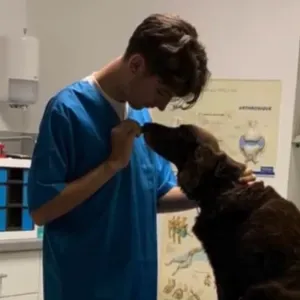 Dispo et attentionné pour votre boule de poil ;)