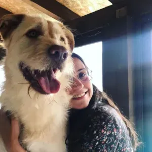 Explicadora de ingles e matemática e apoio ao estudo