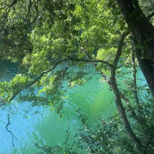 Gouvernante expérimentée depuis plus de 15 ans à Fayence