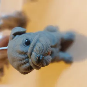 Pet sitting  a Fano!! E dintorni