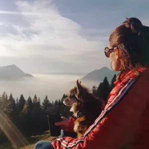 Pet-sitter passionnée et sérieuse :) 