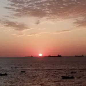 Cuidadora en Alicante o elche 
