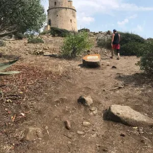 Cerco un petsitter vicino a me