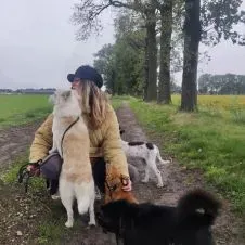 Experienced Pet Sitter